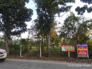ให้เช่า ที่ดิน แขวงศาลาธรรมสพน์ เขตทวีวัฒนา กรุงเทพมหานคร