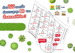 ขายที่ดินสด-ผ่อนไม่มีดอกเบี้ย ซื้อสดลดให้อีกที่ดินดงบัง 2 ไร่ ประจันตคาม ใกล้ตลาดสดชุมชน เหมาะปลูกบ้านสวน ราคาถูกๆ จ.ปราจีนบุรี