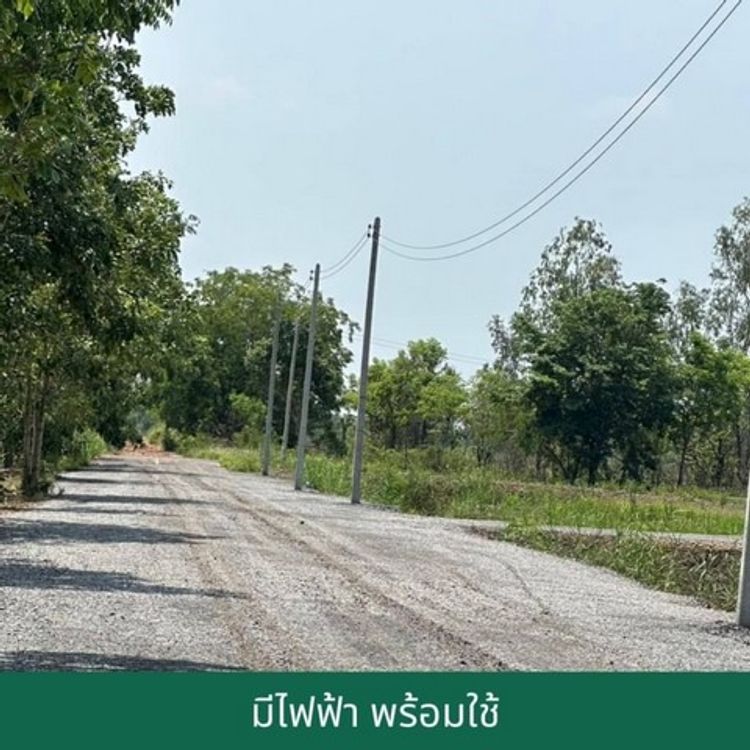 ขายบ้านพร้อมที่ดิน และที่ดินเปล่า ตลาดต้นไม้คลอง 15 ถมดินแน่นนานแล้ว, ภาพที่ 4
