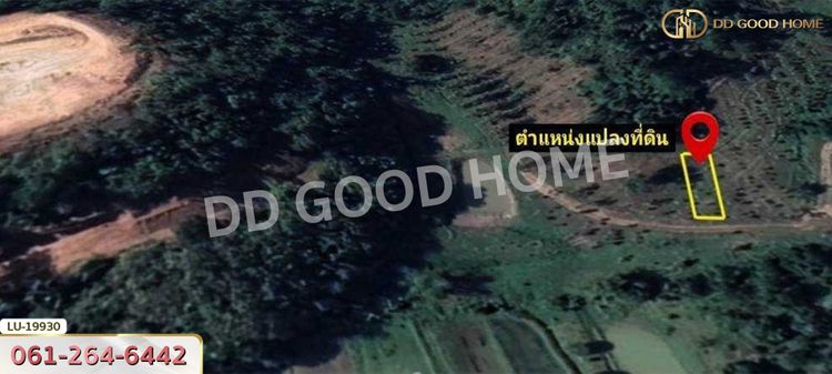 ที่ดิน อ.เวียงชัย 1 ไร่ 245 ตร.ว. เชียงราย, ภาพที่ 4