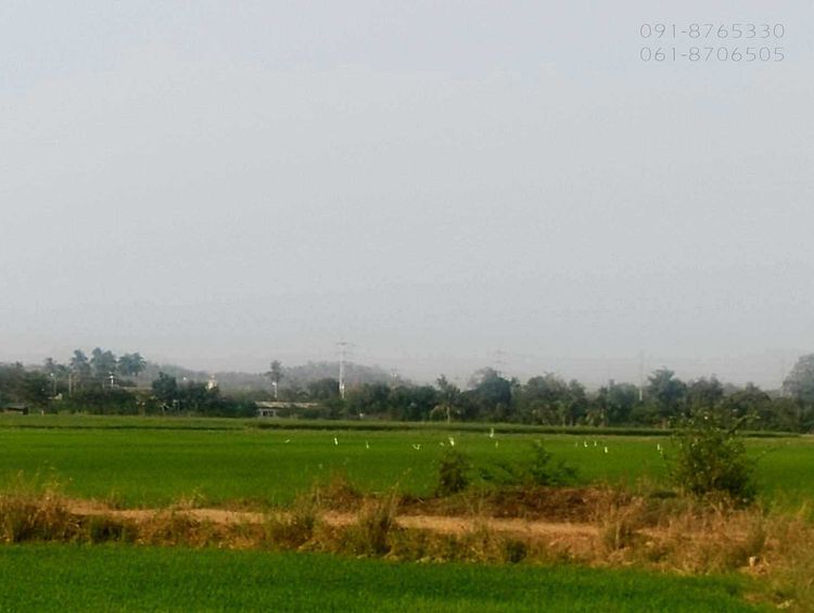 ขายที่ดินเกือบ 3ไร่ สุพรรณบุรี อ.เดิมบางนางบวช วิวเขาสวย มีคลองน้ำ, ภาพที่ 4