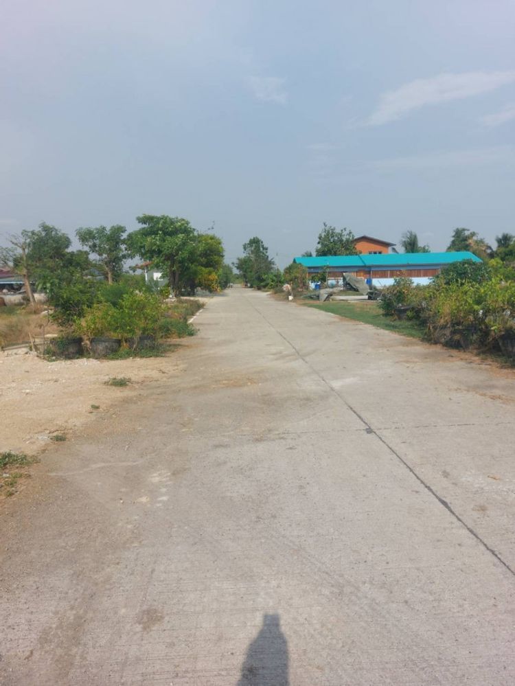 ขายที่ดินหลังโรงพยาบาลบางเสาธง 158 ตรว. ติดคลองได้ที่งอกเพิ่ม, ภาพที่ 4