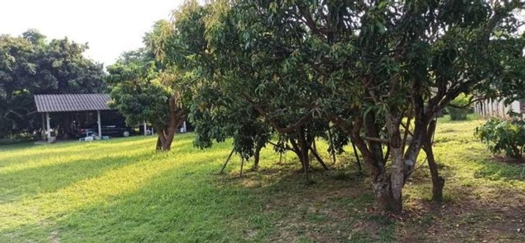 บ้านสวน น้ำไฟฟ้าครบ ใกล้วัดสันต้นกอก ดอนแก้ว สารภี , ภาพที่ 4