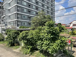 BL8 ขาย/ให้เช่า ที่ดิน ถนน สุขุมวิท 77 ซอย อ่อนนุช 14 #ที่ดินเปล่าซอยอ่อนนุช #ที่ดินสุขุมวิท77 #ที่ดินซอยอ่อนนุข14 #ที่ดินให้เช่า