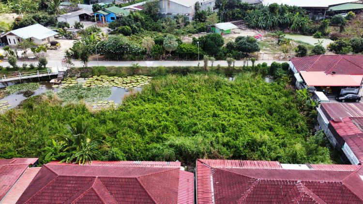 ขายที่ดิน เทศบาลเมืองมาบตาพุด เนื้อที่ 2 ไร่ 1 งาน 5 ตร.ว. ซ.สุขุมวิท, ภาพที่ 4