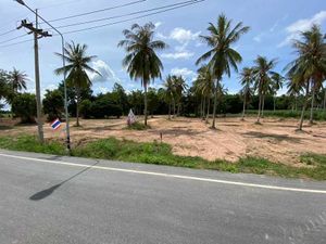 ขาย ที่ดิน ตำบลห้วยใหญ่ อำเภอบางละมุง จังหวัดชลบุรี