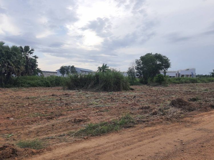 ขายที่สวนผ่อนได้เกาะขนุน เริ่มต้น 200 ตรว. ผ่อนนาน60งวด ใกล้ตลาดสด, ภาพที่ 4