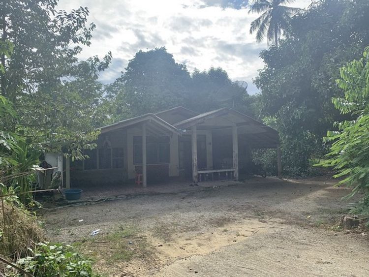 ขายบ้านเดี่ยวชั้นเดียว ต.ร่มเมือง อ.เมืองพัทลุง จ.พัทลุง   PAP ZF_085, ภาพที่ 4