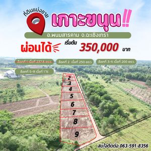 ขายที่สวนผ่อนได้เกาะขนุน เริ่มต้น 200 ตรว. ผ่อนนาน60งวด ใกล้ตลาดสด โรงพยาบาลและถนนใหญ่ อ.พนมสารคาม ฉะเชิงเทรา