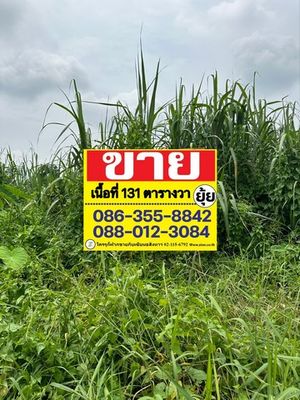 ขายที่ดิน 131 ตารางวา ซอยธารา 7  การเดินทางเข้า-ออกสะดวกหลายช่องทาง   ZT333 