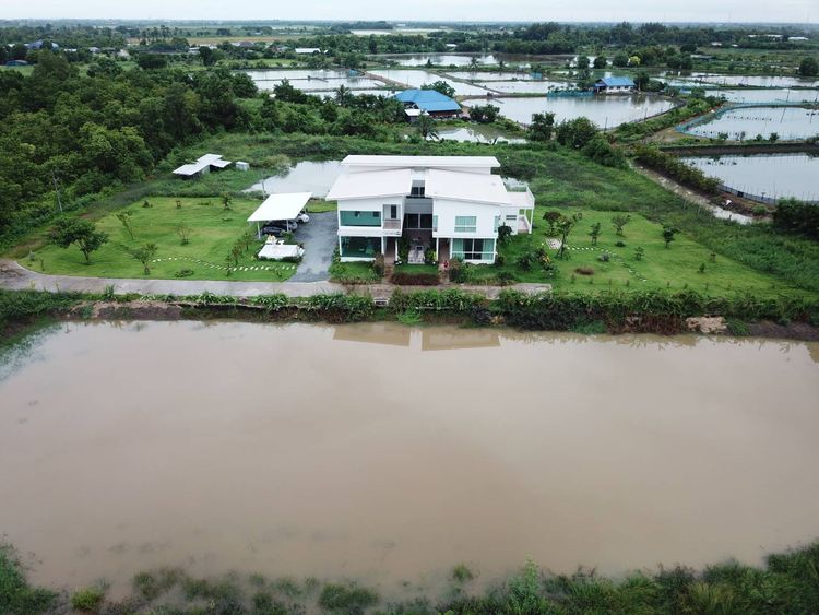 ให้เช่าบ้านเดี่ยว2ชั้น1,000 ตร.ม.ที่ดิน6ไร่ย่านอ.เมืองฉะเชิงเทรา, ภาพที่ 4