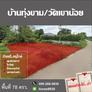 ขาย ที่ดิน ตำบลผาสิงห์ อำเภอเมืองน่าน จังหวัดน่าน