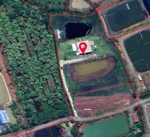 ให้เช่าที่ดิน6ไร่พร้อมบ้านเดี่ยว2ชั้นพื้นที่ใช้สอย1000ตร.ม.ย่านอ.เมืองฉะเชิงเทรา จ.ฉะเชิงเทรา 