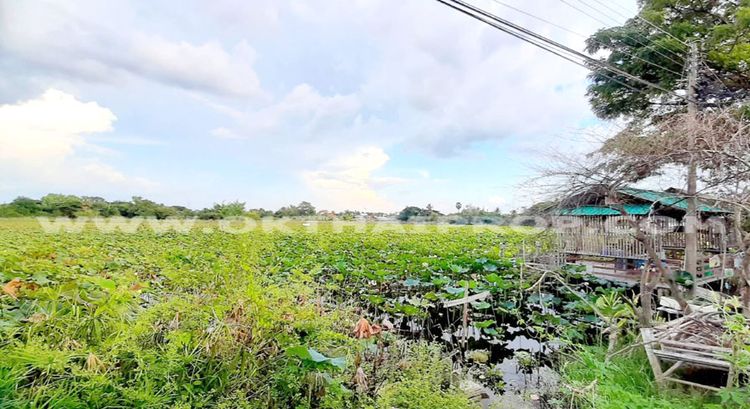 ขาย ที่ดิน ตำบลห้วยเหนือ อำเภอขุขันธ์ จังหวัดศรีสะเกษ, ภาพที่ 4