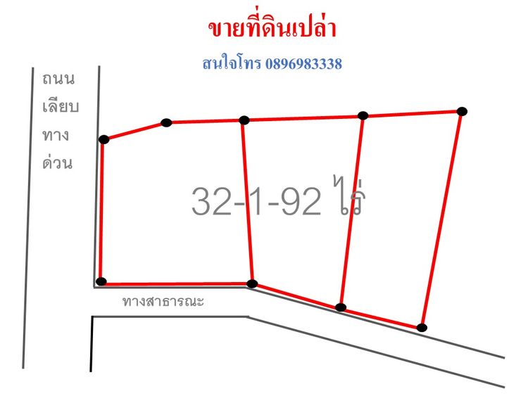 ขาย ที่ดิน ติดถนนเลียบด่วน ตรงข้าม โกดังเคอรี่ ตำบลหนองขาม อำเภอศรีราชา, ภาพที่ 4