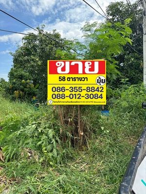 ขายที่ดินเปล่า 58 ตารางวา ซอยจรูญสอนดี พัฒนาชนบท 3    ลาดกระบัง ZT339 
