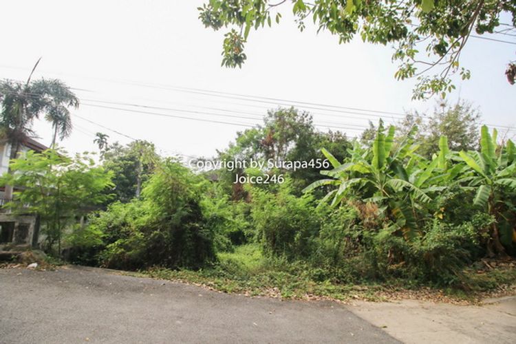 ขายที่ดินเปล่า หมู่บ้าน เรืองอนันต์ เพชรเกษม ซ.64 บางแค 203 ตร.ว MRT, ภาพที่ 4