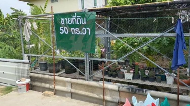 FPL1103ขายที่ดินเนื้อที่ 50 ตารางวา ถนนสุขาภิบาล 5 ซอย 5 แยก 20, ภาพที่ 4
