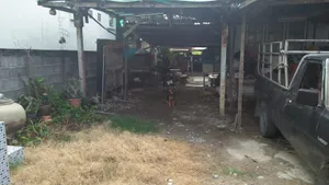 Old house for sale Need to renovation Theparak Road