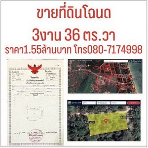 ที่โฉนด 336 ตรว.ต.หาดทรายรี อ.เมืองชุมพร ติดถนน  2ด้าน ราษฏร์พัฒนาซอย 2ใกล้ชายหาดทรายรี 0.9 กม