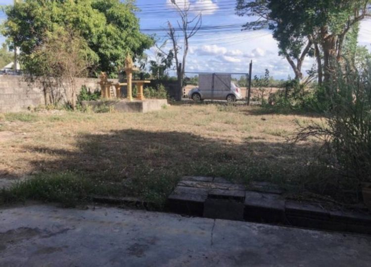 ขายที่ดิน 1-0-1ไร่ พร้อมบ้าน2ชั้น ติดถนนทางหลวงชนบท อ.ทัพทัน   ZP095 , ภาพที่ 4