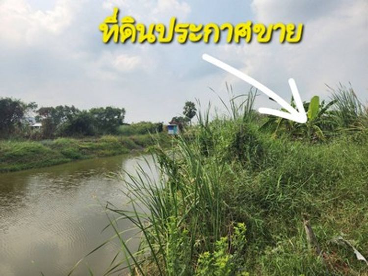 ขายที่ดินเปล่า พื้นที่ 200 ตรว. เหมาะปลูกบ้านพักอาศัย ถนนคอนกรีตหลัง , , ภาพที่ 4