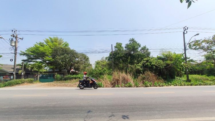 ขาย ที่ดินเปล่า 1 งาน ( 109 ตารางวา ) ติดถนนประชาสำราญ แขวงหนองจอก, ภาพที่ 4