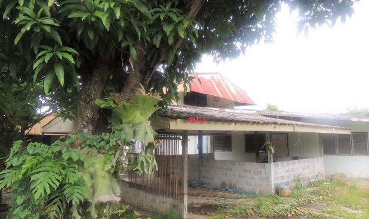 ขายบ้านเดี่ยวใกล้ โรงพยาบาลอำนาจเจริญ อ.เมือง จ.อำนาจเจริญ PKK02-13987, ภาพที่ 4