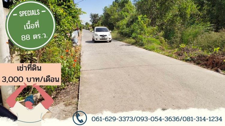 ให้เช่า ที่ดิน คลองห้าตะวันออก ซอยจำรัส 88 ตร.ว. แปลงสวยสี่เหลี่ยม 80, ภาพที่ 4