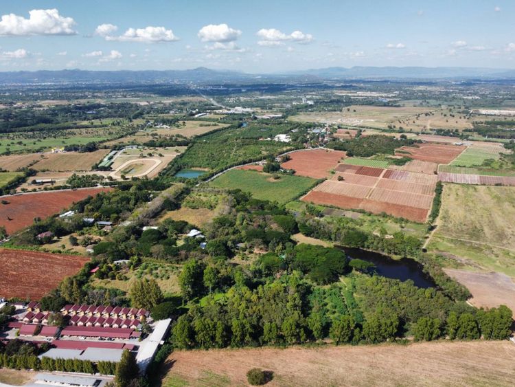 ขาย ที่ดิน เขาใหญ่ ต.​ขนงพระ​ อ.ปากช่อง 10.5 ไร่ ​ถูกที่สุด, ภาพที่ 4