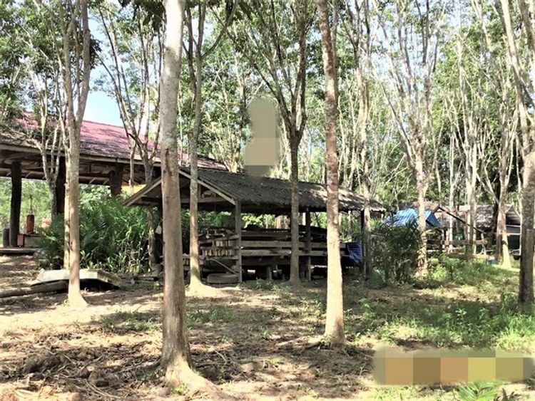 ขายบ้านเดี่ยว   อำเภอคีรีรัฐนิคม สุราษฎร์ธานี (PKK02-09947), ภาพที่ 4