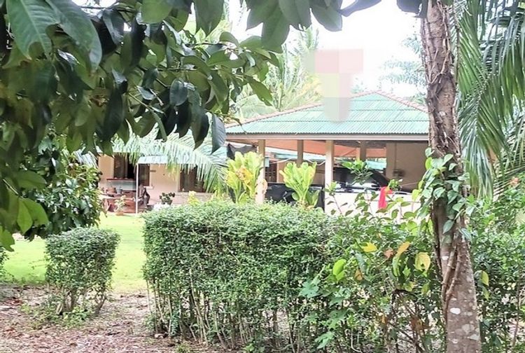 ขายบ้านเดี่ยว  อำเภอดอนสัก  สุราษฎร์ธานี (PKK02-14722), ภาพที่ 4