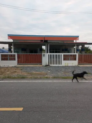 ขายบ้านเดี่ยว อำเภอปากพนัง ถนนสายวิทยาลัยต่อเรือเหมาะค้าขายบ้านติดถนน