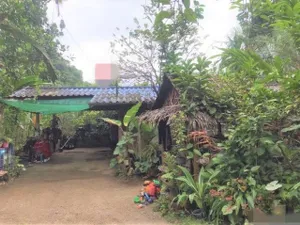 ขายบ้านเดี่ยว   อำเภอพระแสง สุราษฎร์ธานี (PKK02-08756)