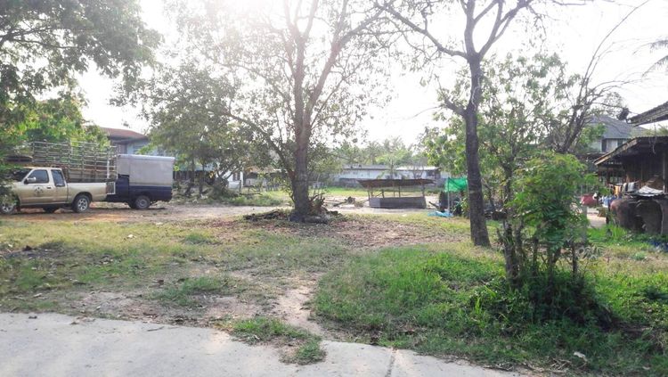 ขาย ที่ดิน ตำบลแก่งเลิงจาน อำเภอเมืองมหาสารคาม จังหวัดมหาสารคาม, ภาพที่ 4