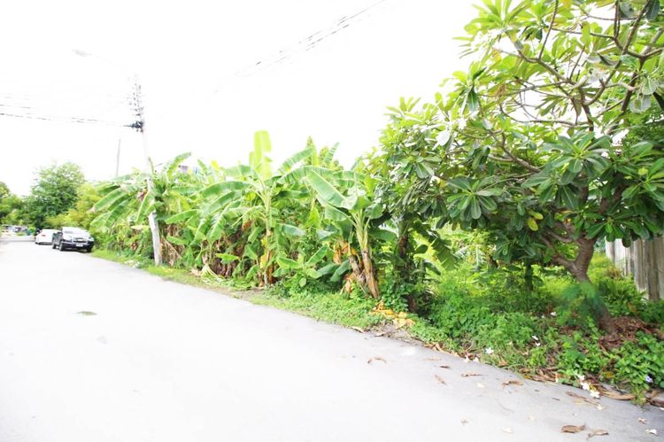 ขาย ที่ดิน แขวงคลองจั่น เขตบางกะปิ กรุงเทพมหานคร, ภาพที่ 4