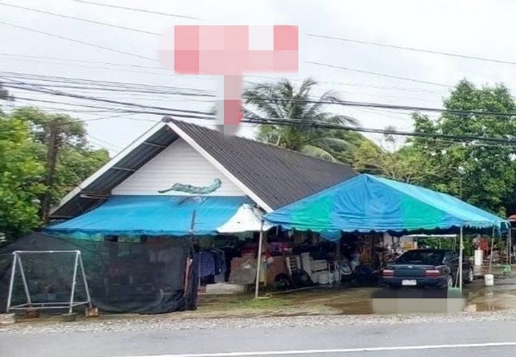 ขายบ้านเดี่ยว   อำเภอท่าชนะ สุราษฎร์ธานี (PKK02-15376), ภาพที่ 4