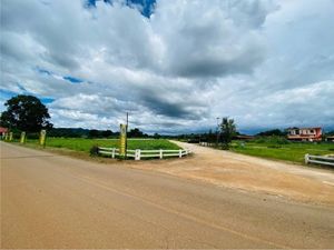 ขาย ที่ดิน ตำบลหมูสี อำเภอปากช่อง จังหวัดนครราชสีมาขายที่ดิน 23 ไร่ เขใหญ่ ต.หมูสี อ.ปากช่อง จ.นครราชสีมา