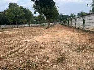 ให้เช่า ที่ดิน ตำบลเวียงยอง อำเภอเมืองลำพูน จังหวัดลำพูน