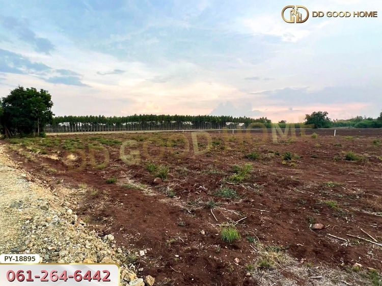ที่ดิน อ.พยุหะคีรี 5 ไร่ 34.8 ตร.ว. นครสวรรค์, ภาพที่ 4
