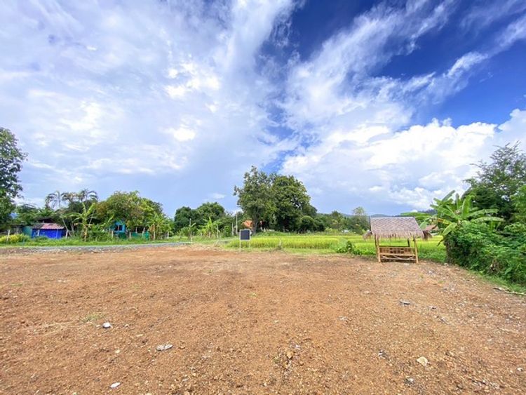 ขายที่ดิน 120ตรว. 599,000บ. รวมโอน ถมแล้ว ไฟฟ้า ประปา ต.ป่าป้อง, ภาพที่ 4