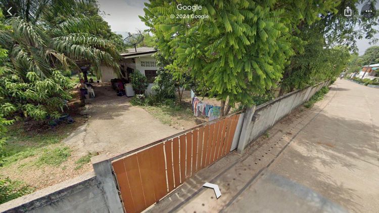 ขายที่สวนพร้อมบ้านหลังเล็ก 2 หลัง ในบ้านสบทก ตำบลสบปราบ อำเภอสบปราบ, ภาพที่ 4