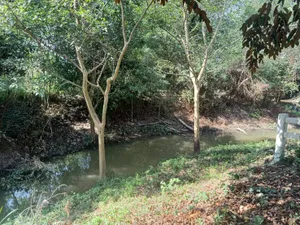 ขายถูกที่ริมน้ำ เขาใหญ่ ขนงพระ วอเตอร์วีล waterwheel ใกล้ธนะรัชต์ มีหลายแปลง 156ตร.ว ถึง 1ไร่ บรรยากาศดี ต้นไม้เยอะร่มรื่น หน้าโครงการมีเซเว่น 087-9074045