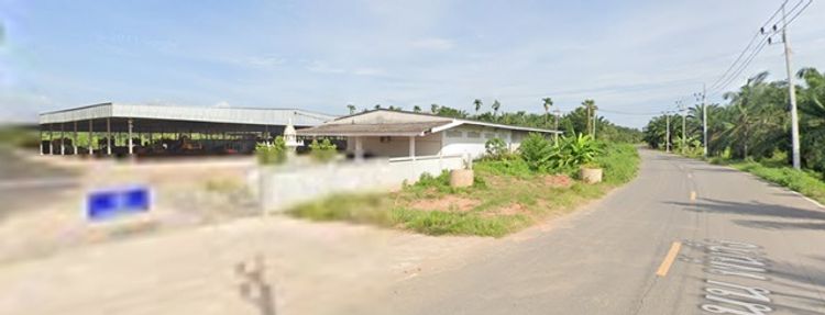 ขอรง.4 ได้  ศรีวิชัย สนามบินนานาชาติสุราษฎร์ธานี ให้เช่า โกดัง-โรงงาน 3, ภาพที่ 4