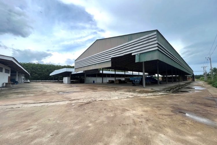 ศรีวิชัย ให้เช่า โกดัง-โรงงาน ออฟฟิศ สนามบินนานาชาติสุราษฎร์ธานี ขอรง.4, ภาพที่ 4