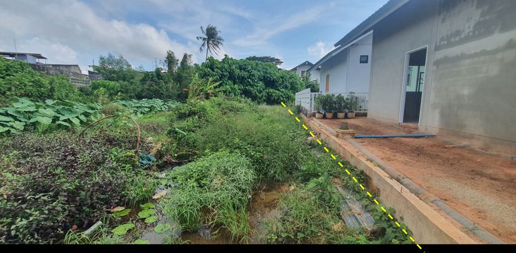 ขายที่ดิน 128.3 ตร.ว. ใกล้บุญถาวร เหมาะปลูกบ้าน (บางใหญ่ ซอย 14), ภาพที่ 4