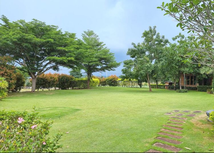ขาย บ้านเดี่ยว  เขาใหญ่ ต.หมูสี . 1 ไร่ 1 งาน 92 ตร.วา, ภาพที่ 4