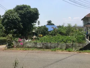 Ph0302 ขายที่ดิน มีสวนดอกมะลิ สามารถสร้างบ้านได้เลย ใกล้วัดบุปผาราม 123 ตรว. ขาย 1.49 ลบ. 