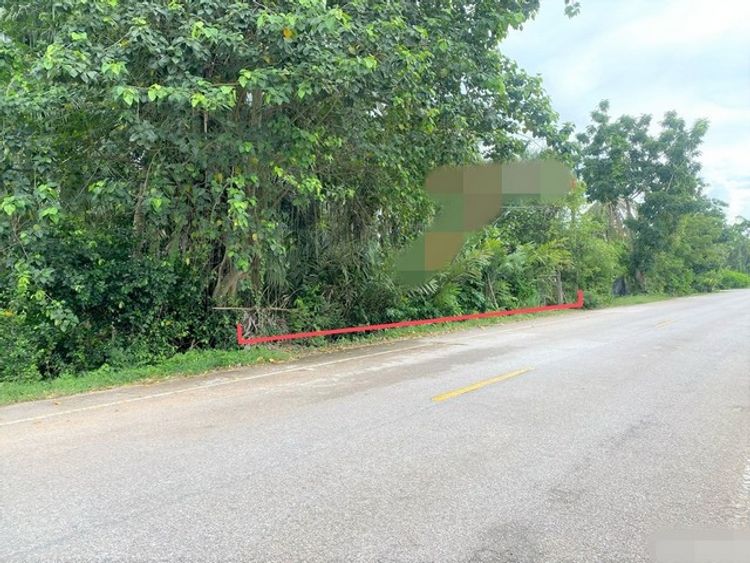ขายบ้านเดี่ยว  อำเภอกระแสสินธุ์   สงขลา (PKK02-15543), ภาพที่ 4