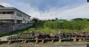 ขายที่ดินรามอินทรา ซ.พระยาสุเรนทร์ 17 **ถูกมาก 30,000/วา เท่านั้น** (N.716)
